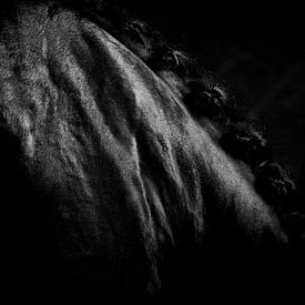 Detailbeeld van zwart paard van Arnd Bronkhorst Photography