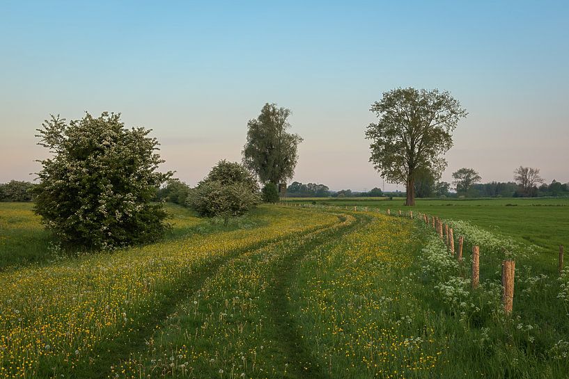 Dutch spring landscape. by René Jonkhout