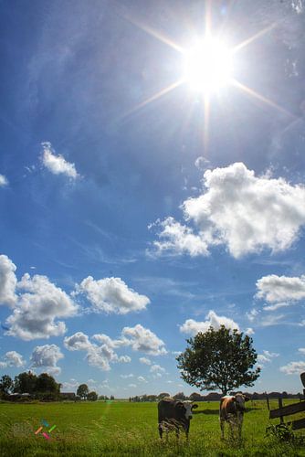 Paysage néerlandais
