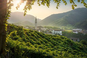Guia dorp en wijngaarden in de Prosecco heuvels, Italië van Stefano Orazzini