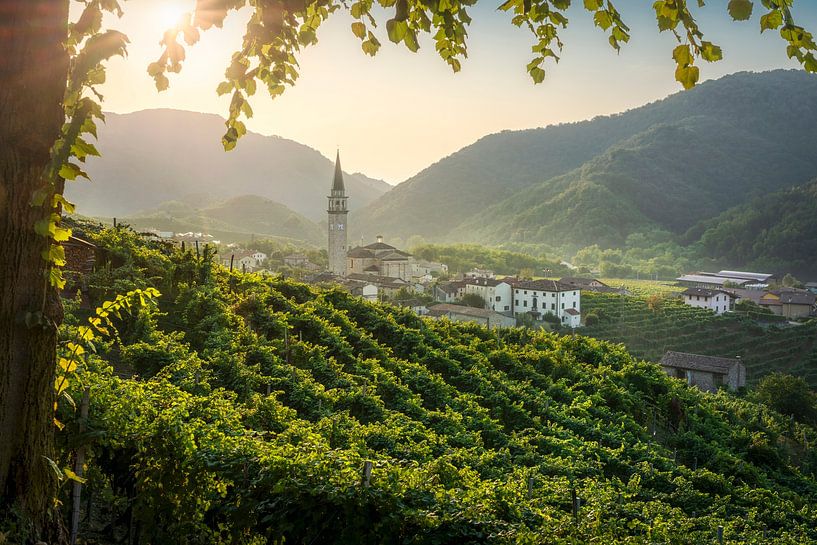 Village de Guia et vignobles dans les collines du Prosecco, Italie par Stefano Orazzini