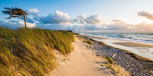 Darßer Westrand an der Ostsee von Werner Dieterich