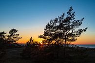 Sonnenuntergang an der Ostseeküste in Prerow van Rico Ködder thumbnail
