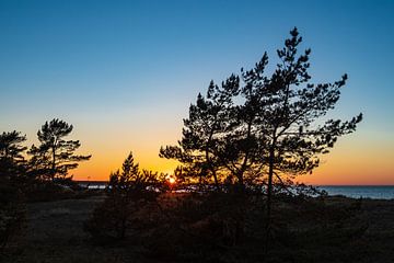 Sunset on shore of the Baltic Sea van Rico Ködder
