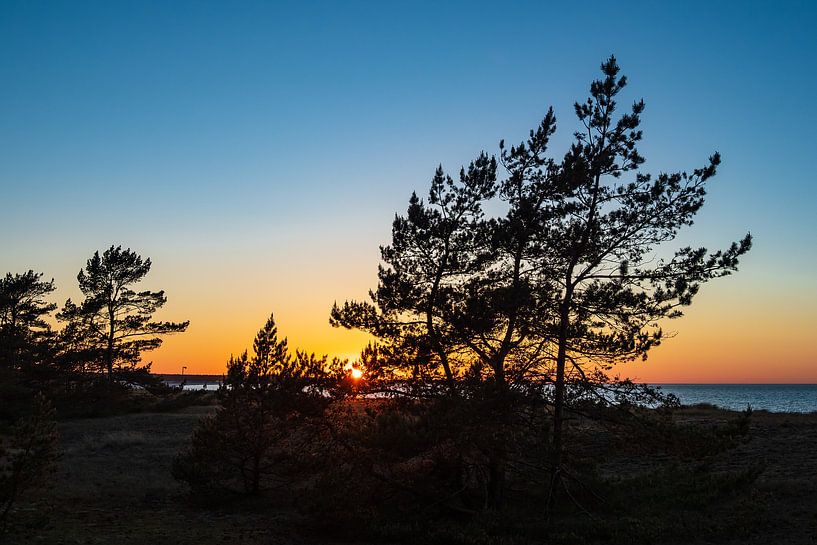 Sonnenuntergang an der Ostseeküste in Prerow van Rico Ködder