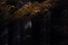 Gris cendré sur Rosalie van der Bok