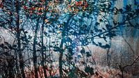 Abstract 12