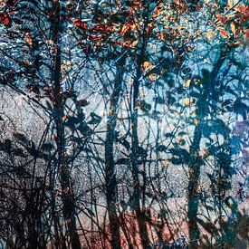 Abstract 012 van Anna Hiemstra