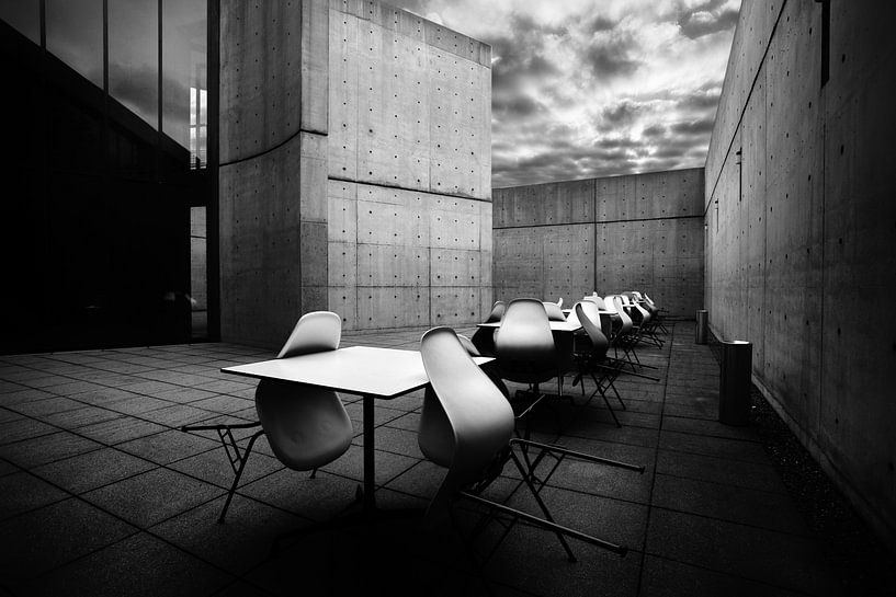 Tadao Ando van Jesse Kraal