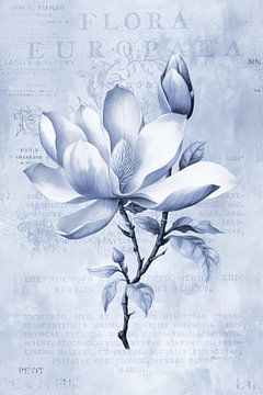Magnolia Spring Romance Pastel Blue von Andrea Haase