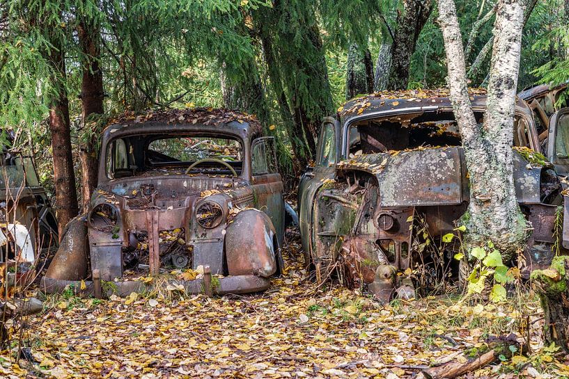 Rusty legacies in the forest - car graveyard in Sweden by Gentleman of Decay