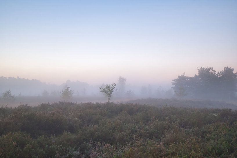 Nature par Evelien Huisman