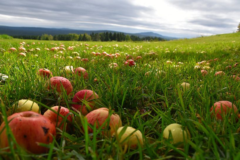 Onder de appelboom in de herfst van Claude Laprise