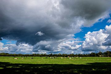 Kühe auf der Wiese mit dunklen Wolken von Brian Morgan
