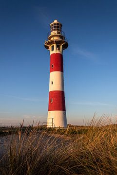 Leuchtturm Nieuwpoort | Landschaft von Daan Duvillier