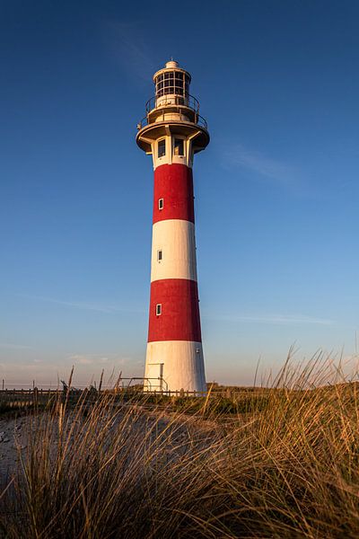 Vuurtoren Nieuwpoort | Landschap van Daan Duvillier | Regio in de Kijker