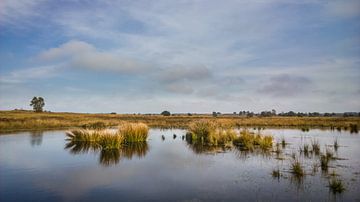 Veluwe