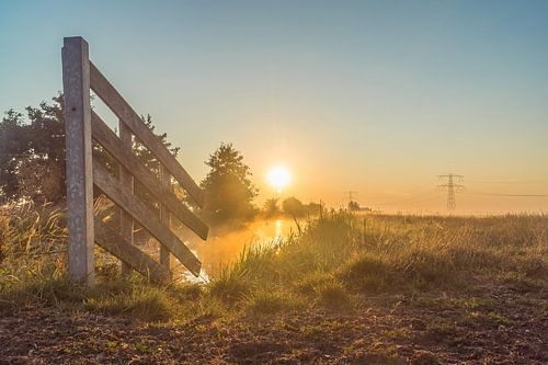 Zonsopkomst tussen de weilanden