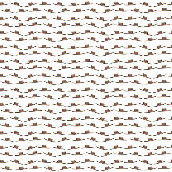 Chilenische Chupalla Hutmuster von Grüntyers .