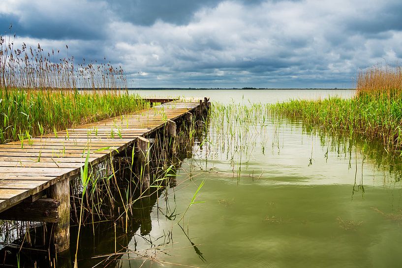 Steg am Bodden auf dem Fischland-Darß par Rico Ködder