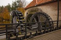 cogwheel from watermill in holland in nature area singraven van ChrisWillemsen thumbnail