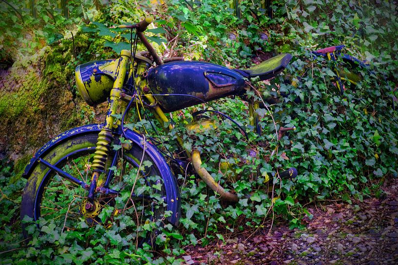Engine overgrown with ivy  by Vincent den Hertog