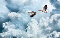 Vliegende ganzen tegen een verbazingwekkende wolkenlucht van Inge van den Brande thumbnail