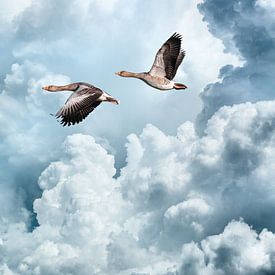 Vliegende ganzen tegen een verbazingwekkende wolkenlucht van Inge van den Brande