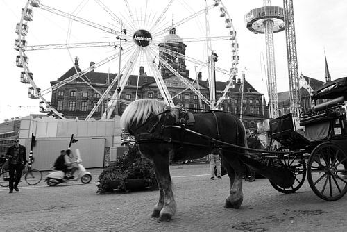Headless horse.