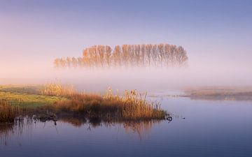 Een ochtend bij het natuurgebied Tusschenwater Drenthe van Marga Vroom