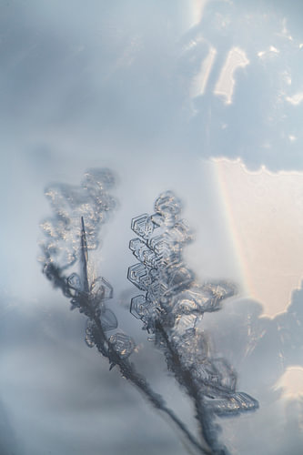 Macro Photography of Ice Crystals in Soft Light