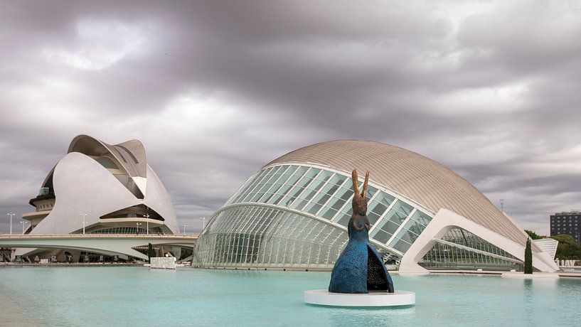 Ciudad de las Artes y las Ciencias - Valencia von Dries van Assen