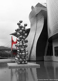 Nur rot von www.narro-imago.nl