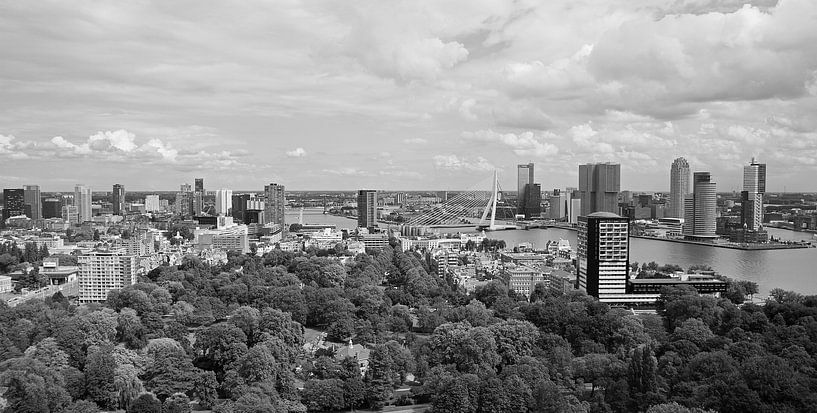 Die Skyline der Stadt Rotterdam von MS Fotografie | Marc van der Stelt