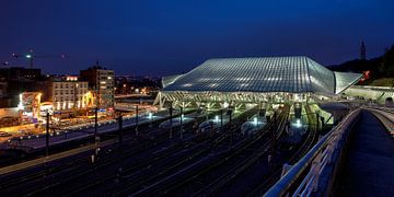 Treinstation Guillemins in Luik (Liege) in Belgie van Miranda Lodder