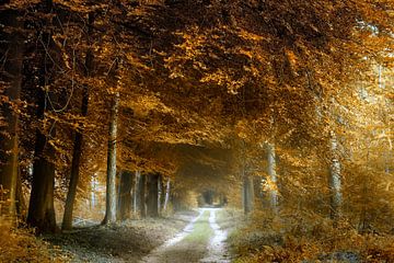 Autumn's Not That Cold by Kees van Dongen