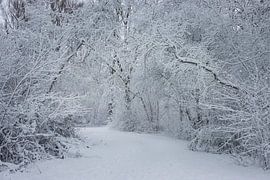 Westerpark in de sneeuw van Ellen Weidenaar
