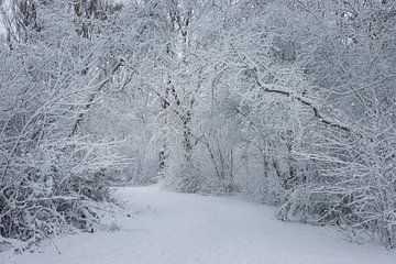Westerpark in the snow by Ellen Weidenaar