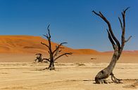 Sossusvlei Namibië (7) van Adelheid Smitt thumbnail