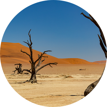 Sossusvlei Namibië (7) van Adelheid Smitt