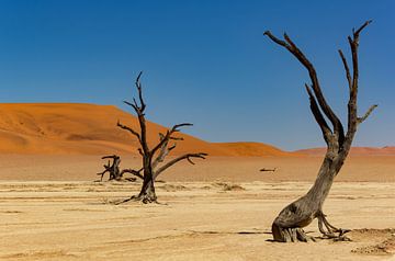 Sossusvlei Namibië (7) van Adelheid Smitt
