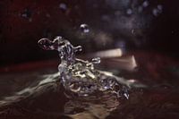 SPLASH 2