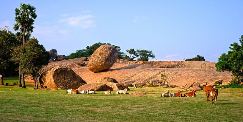 krishnas butterball with cows by Stefan Havadi-Nagy