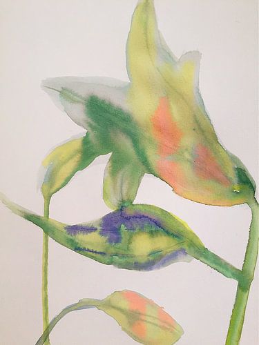 Pastel Lillies