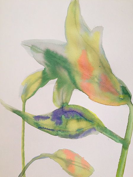 Pastell Lilien von Helia Tayebi Art