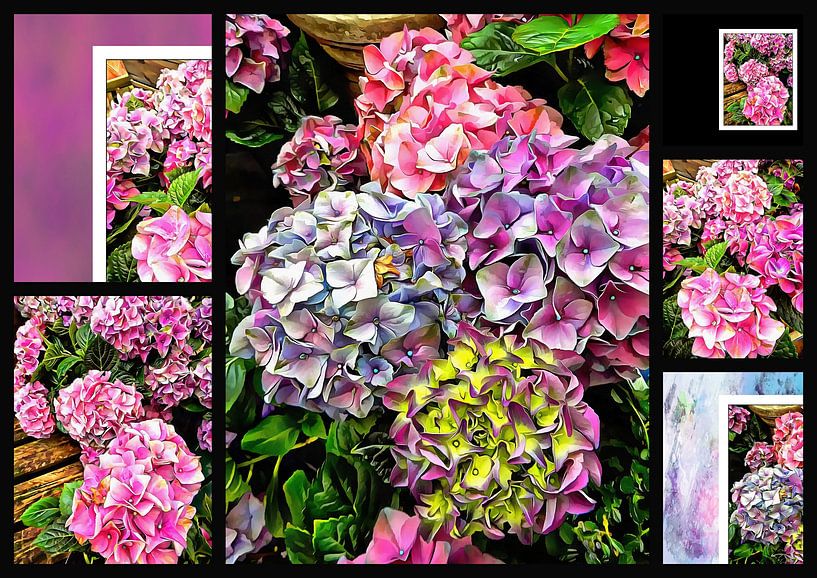 Gorgeous Hydrangeas Collage 1 by Dorothy Berry-Lound