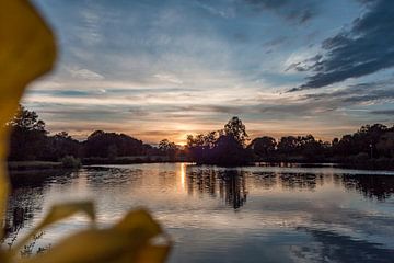 Zonsondergang sur Roy Vrinten