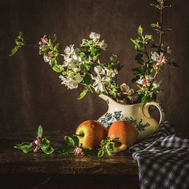 Apfelblüte von Miriam Meijer, en pleine campagne.....