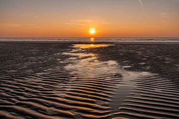 Strand bei Sonnenuntergang mit Spiegelung von Dafne Vos