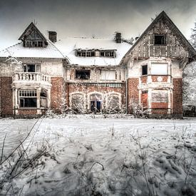 Abandoned Mansion van Cindy Maertens